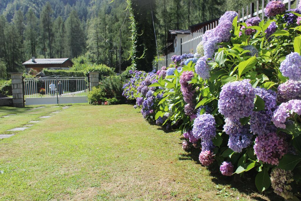 Villa Egle Antronapiana 外观 照片